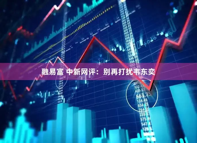 融易富 中新网评：别再打扰韦东奕