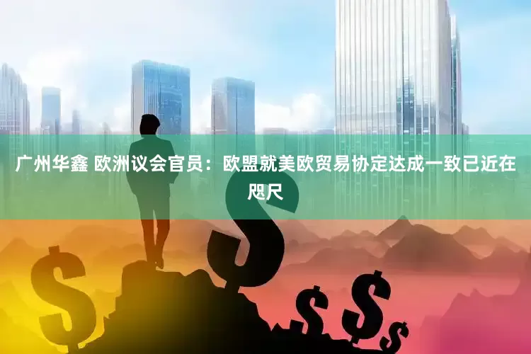 广州华鑫 欧洲议会官员：欧盟就美欧贸易协定达成一致已近在咫尺